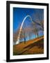 Autumn Trees Below Gateway Arch, Jefferson National Expansion, St. Louis, Missouri, USA-Scott T. Smith-Framed Photographic Print