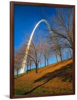 Autumn Trees Below Gateway Arch, Jefferson National Expansion, St. Louis, Missouri, USA-Scott T. Smith-Framed Photographic Print