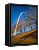 Autumn Trees Below Gateway Arch, Jefferson National Expansion, St. Louis, Missouri, USA-Scott T. Smith-Framed Stretched Canvas