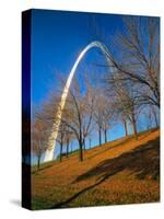 Autumn Trees Below Gateway Arch, Jefferson National Expansion, St. Louis, Missouri, USA-Scott T. Smith-Stretched Canvas