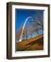 Autumn Trees Below Gateway Arch, Jefferson National Expansion, St. Louis, Missouri, USA-Scott T. Smith-Framed Photographic Print