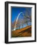 Autumn Trees Below Gateway Arch, Jefferson National Expansion, St. Louis, Missouri, USA-Scott T. Smith-Framed Photographic Print