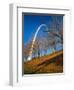 Autumn Trees Below Gateway Arch, Jefferson National Expansion, St. Louis, Missouri, USA-Scott T. Smith-Framed Photographic Print