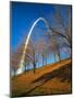 Autumn Trees Below Gateway Arch, Jefferson National Expansion, St. Louis, Missouri, USA-Scott T. Smith-Mounted Photographic Print