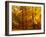 Autumn Trees Cumbria England-null-Framed Photographic Print