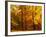 Autumn Trees Cumbria England-null-Framed Photographic Print