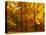 Autumn Trees Cumbria England-null-Stretched Canvas