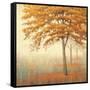 Autumn Trees I-James Wiens-Framed Stretched Canvas