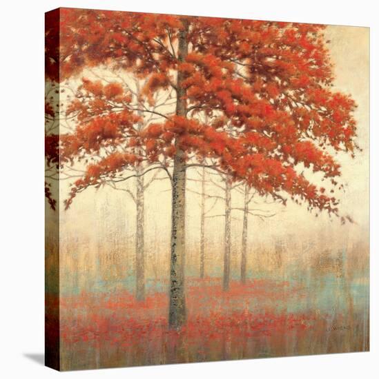 Autumn Trees II-James Wiens-Stretched Canvas