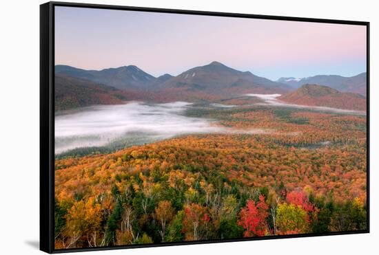 Autumn trees in a forest from Mount Van Hoevenberg, Adirondack Mountains State Park, New York St...-null-Framed Stretched Canvas