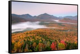 Autumn trees in a forest from Mount Van Hoevenberg, Adirondack Mountains State Park, New York St...-null-Framed Stretched Canvas