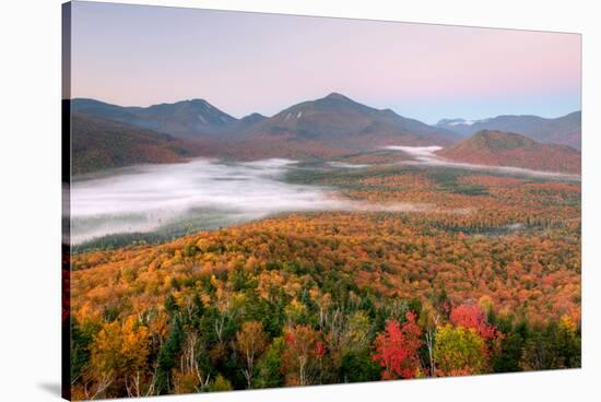 Autumn trees in a forest from Mount Van Hoevenberg, Adirondack Mountains State Park, New York St...-null-Stretched Canvas