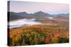 Autumn trees in a forest from Mount Van Hoevenberg, Adirondack Mountains State Park, New York St...-null-Stretched Canvas