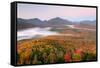 Autumn trees in a forest from Mount Van Hoevenberg, Adirondack Mountains State Park, New York St...-null-Framed Stretched Canvas