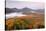 Autumn trees in a forest from Mount Van Hoevenberg, Adirondack Mountains State Park, New York St...-null-Stretched Canvas