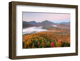 Autumn trees in a forest from Mount Van Hoevenberg, Adirondack Mountains State Park, New York St...-null-Framed Photographic Print