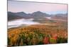 Autumn trees in a forest from Mount Van Hoevenberg, Adirondack Mountains State Park, New York St...-null-Mounted Photographic Print