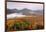 Autumn trees in a forest from Mount Van Hoevenberg, Adirondack Mountains State Park, New York St...-null-Framed Photographic Print