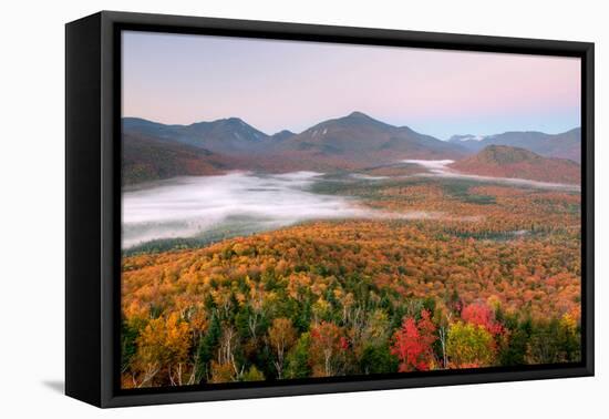 Autumn trees in a forest from Mount Van Hoevenberg, Adirondack Mountains State Park, New York St...-null-Framed Stretched Canvas