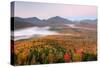 Autumn trees in a forest from Mount Van Hoevenberg, Adirondack Mountains State Park, New York St...-null-Stretched Canvas