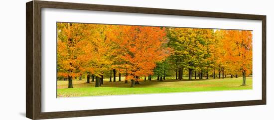 Autumn trees in a park, Chestnut Ridge County Park, Orchard Park, Erie County, New York State, USA-null-Framed Photographic Print