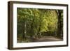 Autumn Trees in Hampstead Heath-Natalie Tepper-Framed Photographic Print