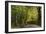 Autumn Trees in Hampstead Heath-Natalie Tepper-Framed Photographic Print