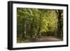 Autumn Trees in Hampstead Heath-Natalie Tepper-Framed Photographic Print