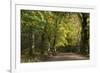 Autumn Trees in Hampstead Heath-Natalie Tepper-Framed Photographic Print