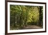 Autumn Trees in Hampstead Heath-Natalie Tepper-Framed Photographic Print