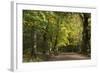 Autumn Trees in Hampstead Heath-Natalie Tepper-Framed Photographic Print