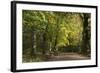 Autumn Trees in Hampstead Heath-Natalie Tepper-Framed Photographic Print