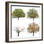 Autumn Trees  Isolated on White Background.-lilkar-Framed Photographic Print