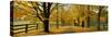 Autumn Trees Near Waynesboro Virginia USA-null-Stretched Canvas