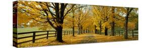 Autumn Trees Near Waynesboro Virginia USA-null-Stretched Canvas