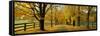 Autumn Trees Near Waynesboro Virginia USA-null-Framed Stretched Canvas