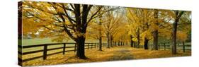 Autumn Trees Near Waynesboro Virginia USA-null-Stretched Canvas