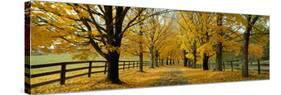 Autumn Trees Near Waynesboro Virginia USA-null-Stretched Canvas