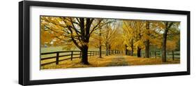 Autumn Trees Near Waynesboro Virginia USA-null-Framed Photographic Print