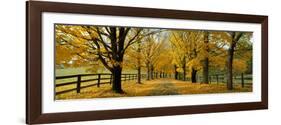 Autumn Trees Near Waynesboro Virginia USA-null-Framed Photographic Print