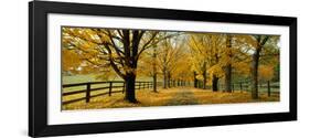 Autumn Trees Near Waynesboro Virginia USA-null-Framed Photographic Print