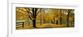 Autumn Trees Near Waynesboro Virginia USA-null-Framed Photographic Print