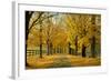 Autumn Trees near Waynesboro Virginia USA-null-Framed Photographic Print