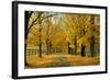 Autumn Trees near Waynesboro Virginia USA-null-Framed Photographic Print