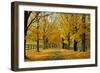 Autumn Trees near Waynesboro Virginia USA-null-Framed Photographic Print
