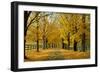 Autumn Trees near Waynesboro Virginia USA-null-Framed Photographic Print