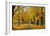 Autumn Trees near Waynesboro Virginia USA-null-Framed Photographic Print