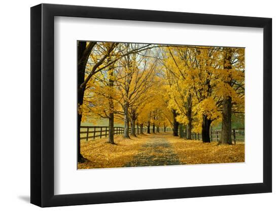 Premium Photographic Print, , large