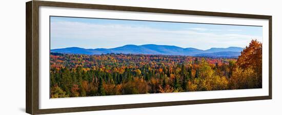 Autumn trees on landscape, Foster, Quebec, Canada-null-Framed Premium Photographic Print