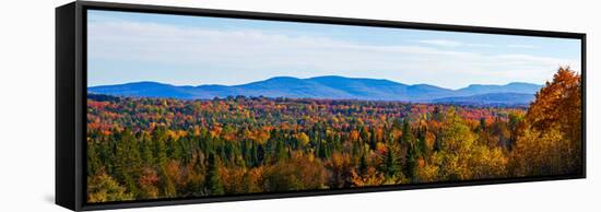 Autumn trees on landscape, Foster, Quebec, Canada-null-Framed Stretched Canvas